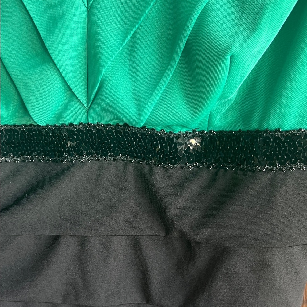 Enfocus Studio Green and Black Midi Dress - Picture 3 of 9